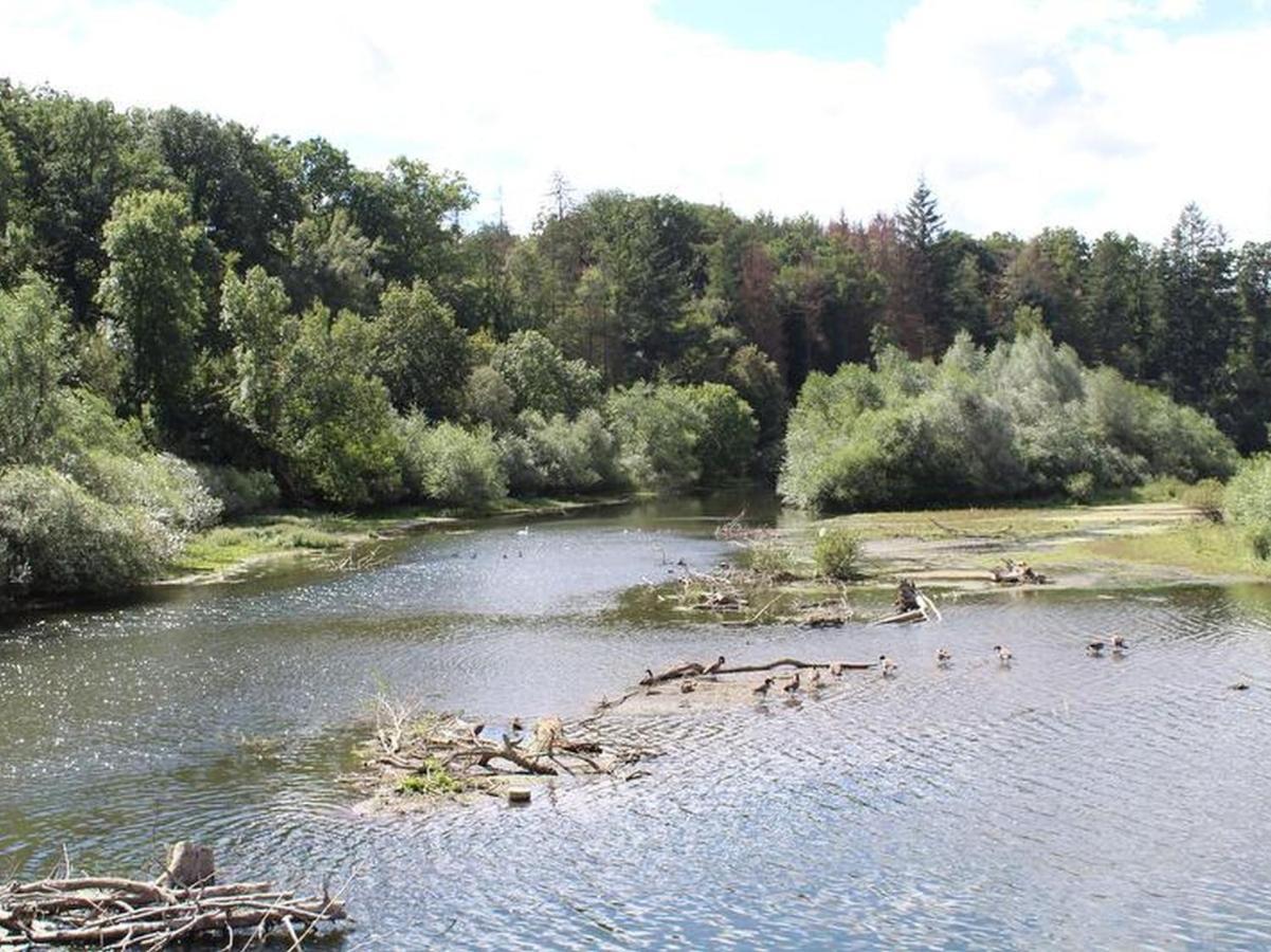 Ferienwohnungen Am Seeufer Möhnesee Eksteriør billede